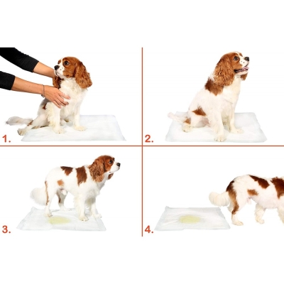 10 lu Köpek Tuvalet Eğitim Pedi - Kullan At Çiş Pedi - 90 X 60 Cm