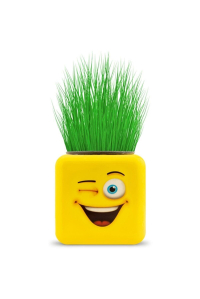 Çimoji 4 Figürlü Emoji Küp Çim Adam