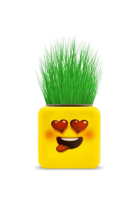 Çimoji 4 Figürlü Emoji Küp Çim Adam