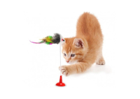 Vantuzlu Kedi Oyuncağı - Fare Yakalama Oyuncağı 