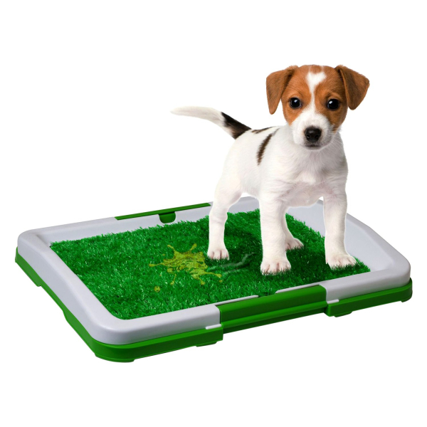 Yavru Kopek Tuvalet Egitim Seti Puppy Potty Pad