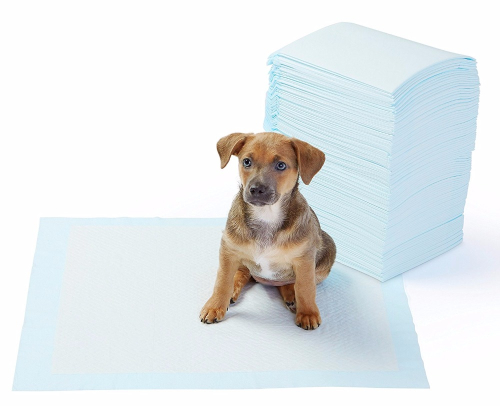 Yıkanabilir Köpek Çiş Pedi 100 X 100 Cm 5li Paket