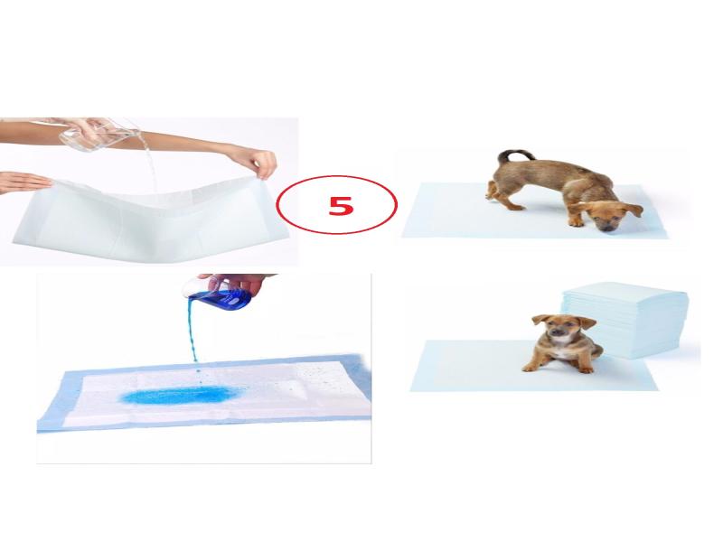 Yıkanabilir Köpek Çiş Pedi 90 X 60 Cm 5li Paket