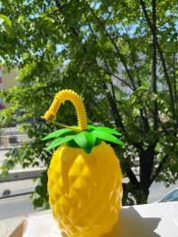 Ananas Pipetli Suluk 