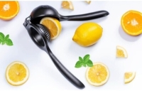 Limon Sıkacağı - Limonatör - DÖKÜM