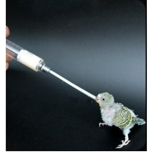 Profesyonel Kuş Elle Besleme Şırıngası Kuşu Beslemek için Enjektör No:3